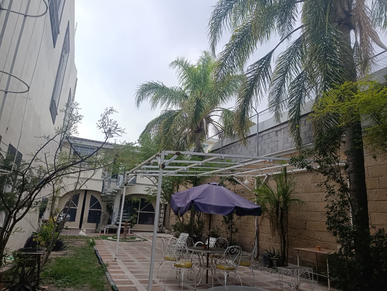 Jardín bajo la pérgola con mesas